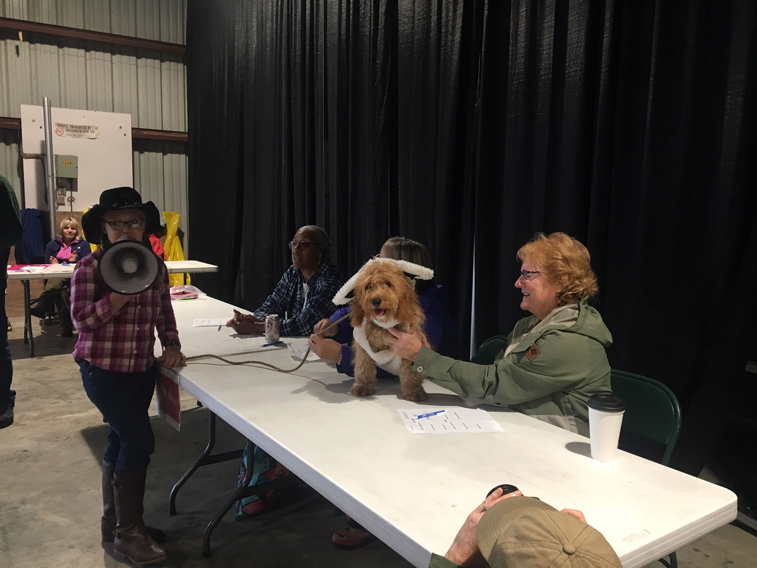 Dog costume contest Fair 2019